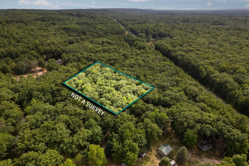 Tabor Avenue Grant Township, MI 49643