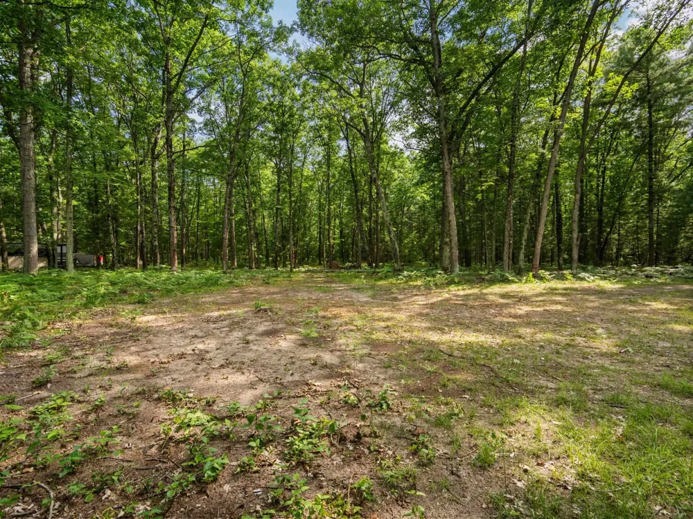 Tabor Avenue Grant Township, MI 49643