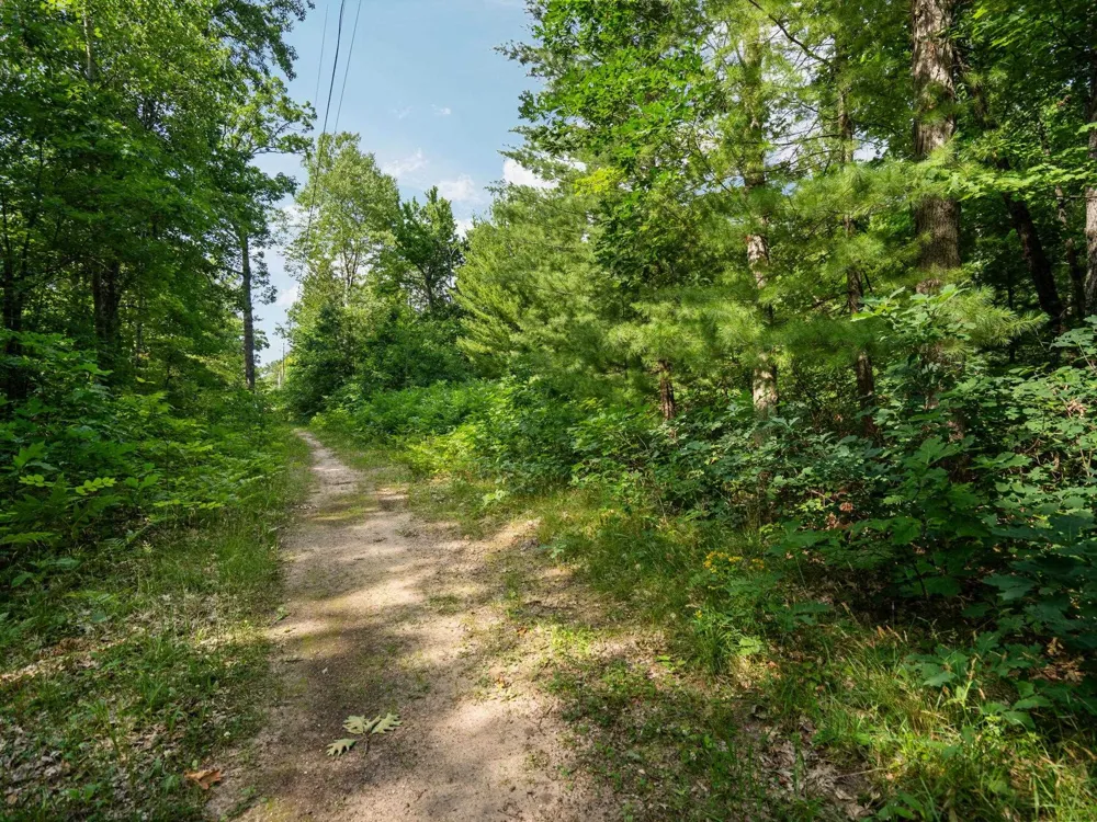 Beroun Avenue Grant Township, MI 49643