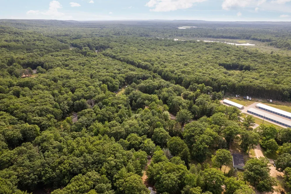 Beroun Avenue Grant Township, MI 49643
