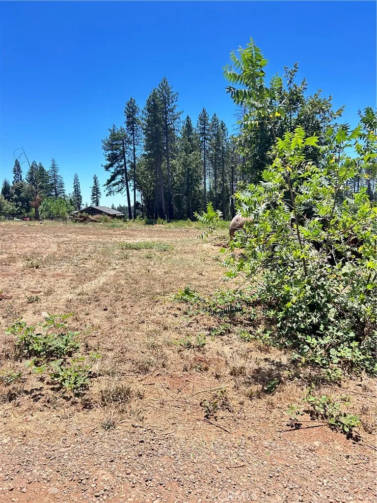 1540 Warren Paradise, CA 95969