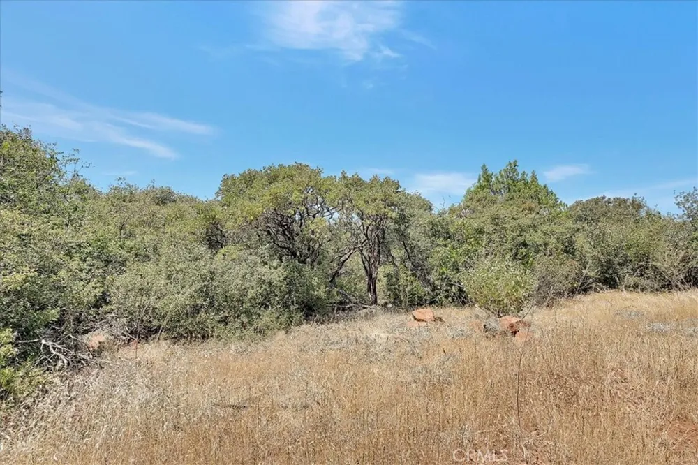8972 Amoruso Lane Oregon House, CA 95962