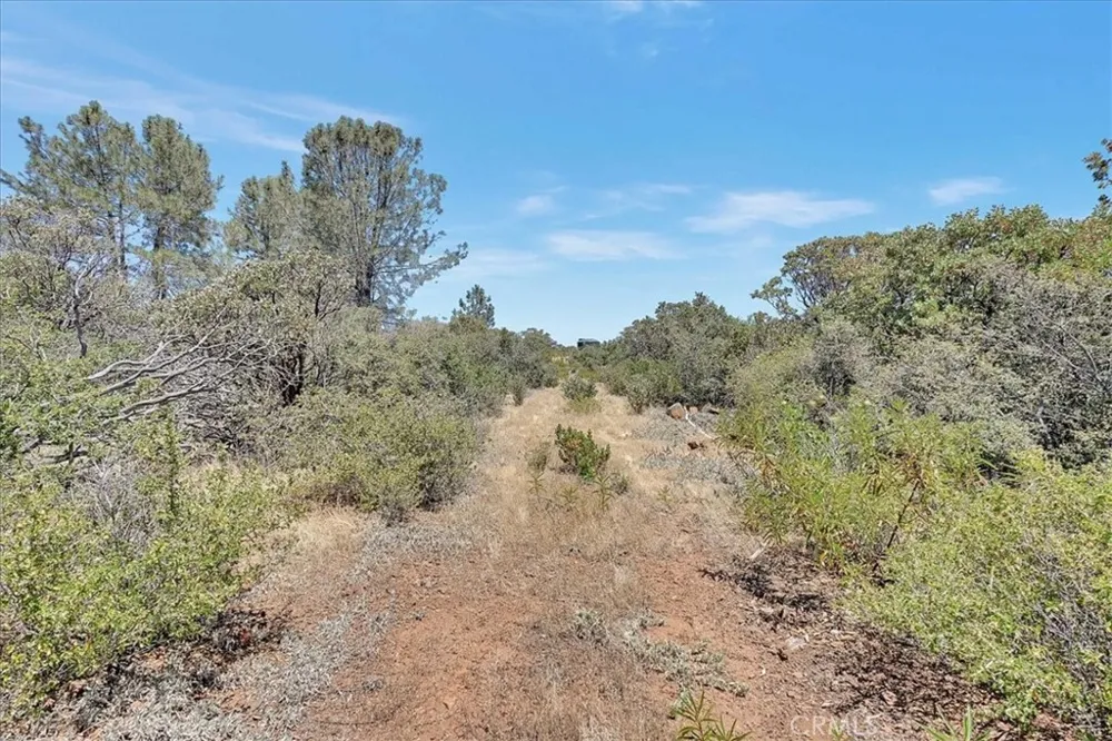 8972 Amoruso Lane Oregon House, CA 95962
