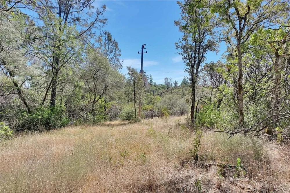 8972 Amoruso Lane Oregon House, CA 95962