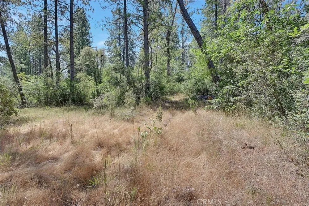 8972 Amoruso Lane Oregon House, CA 95962