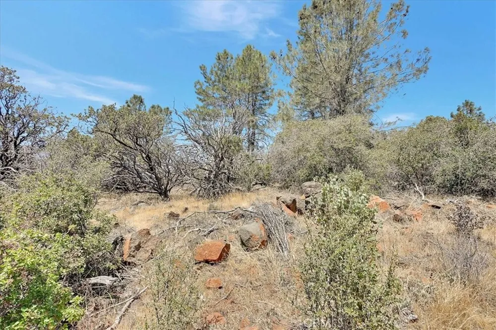 8972 Amoruso Lane Oregon House, CA 95962