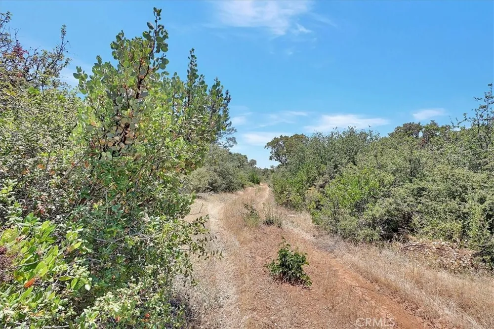 8972 Amoruso Lane Oregon House, CA 95962