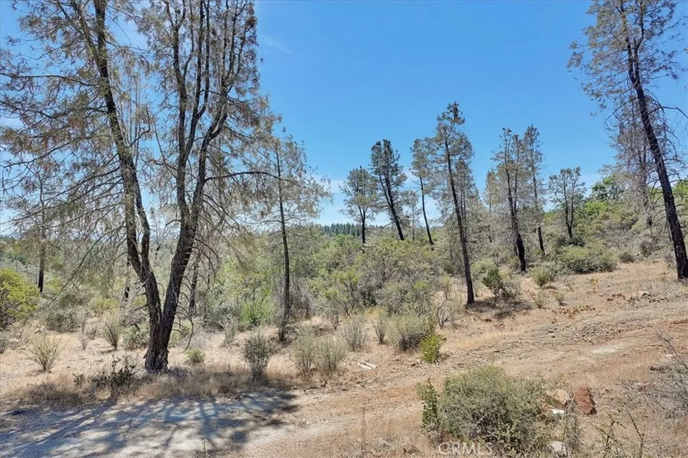 8972 Amoruso Lane Oregon House, CA 95962