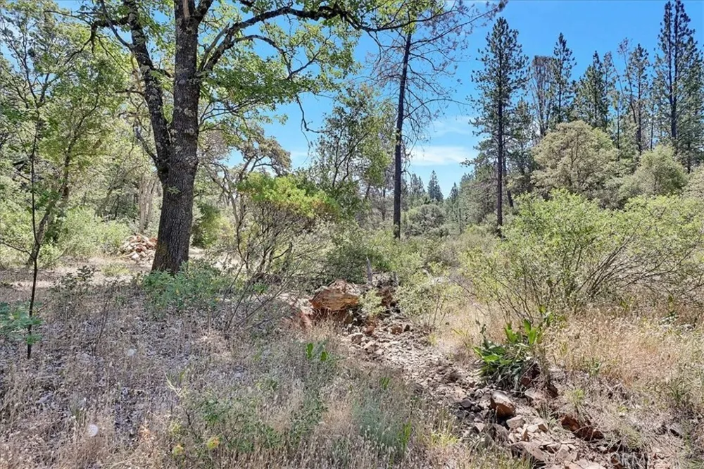 8972 Amoruso Lane Oregon House, CA 95962