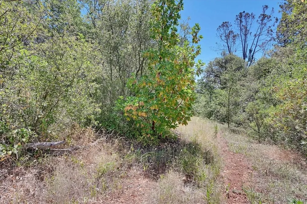 8972 Amoruso Lane Oregon House, CA 95962