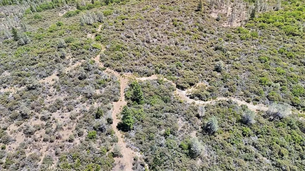 8972 Amoruso Lane Oregon House, CA 95962