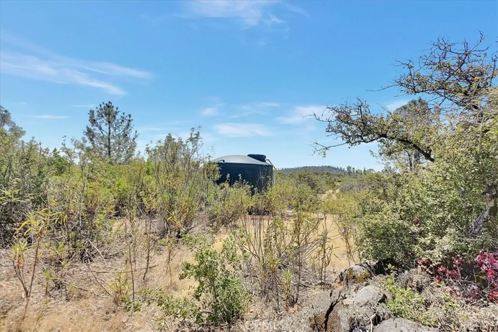 8972 Amoruso Lane Oregon House, CA 95962