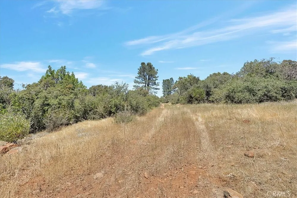 8972 Amoruso Lane Oregon House, CA 95962