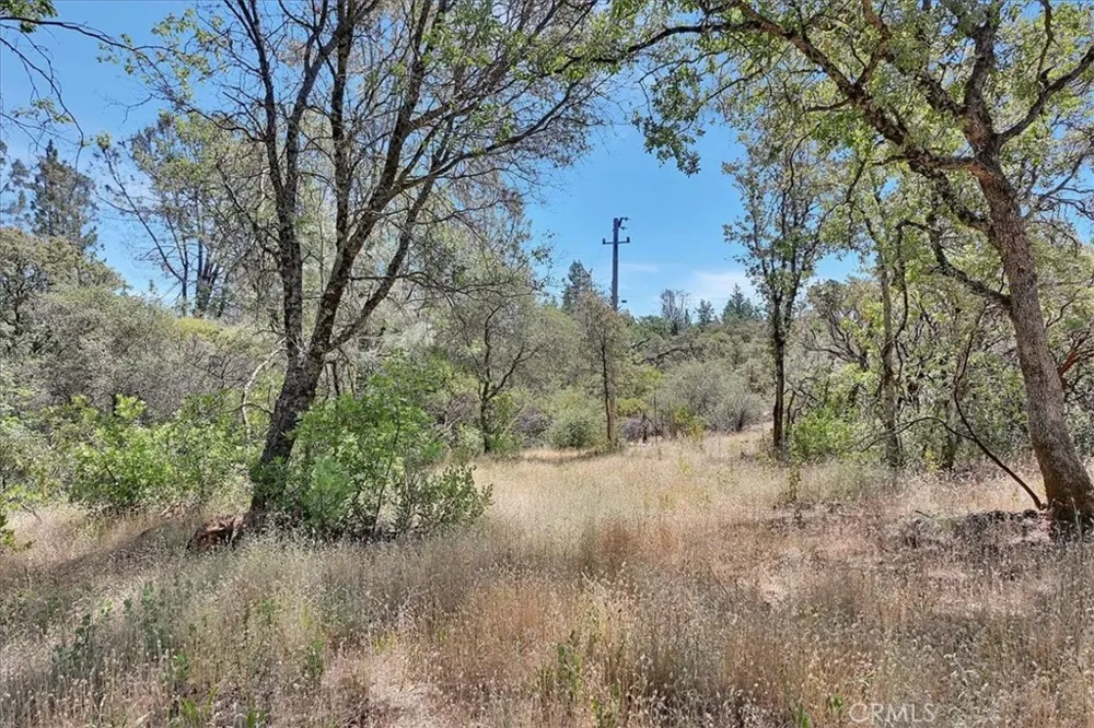 8972 Amoruso Lane Oregon House, CA 95962