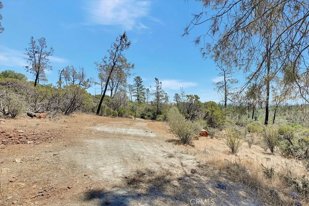 8972 Amoruso Lane Oregon House, CA 95962