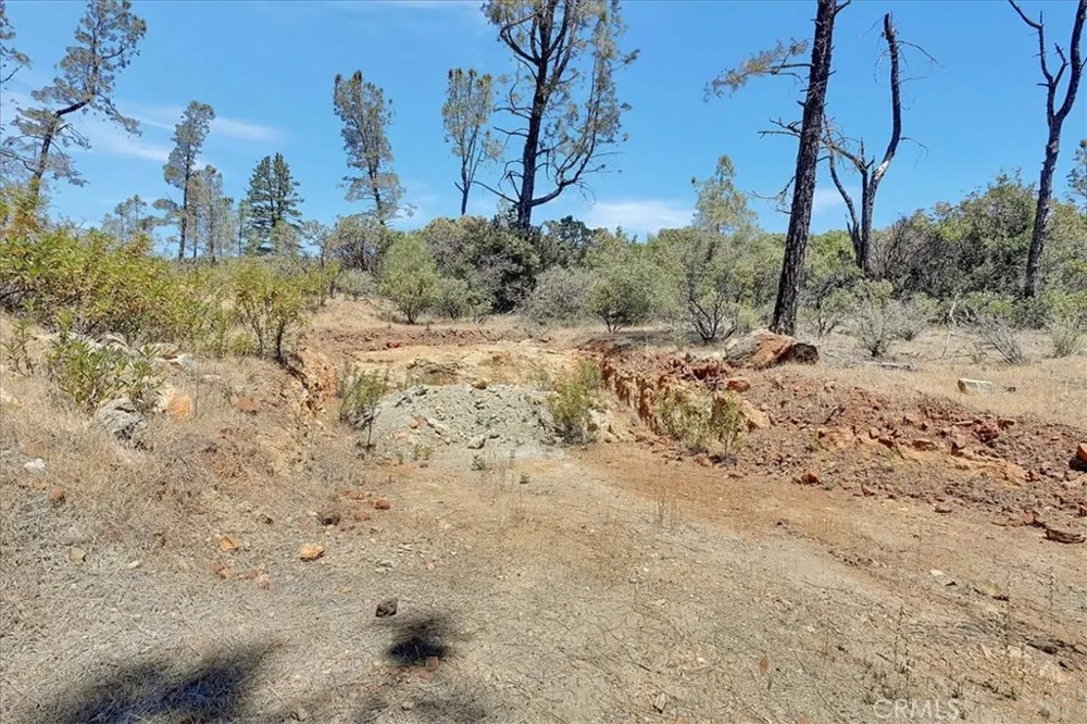 8972 Amoruso Lane Oregon House, CA 95962