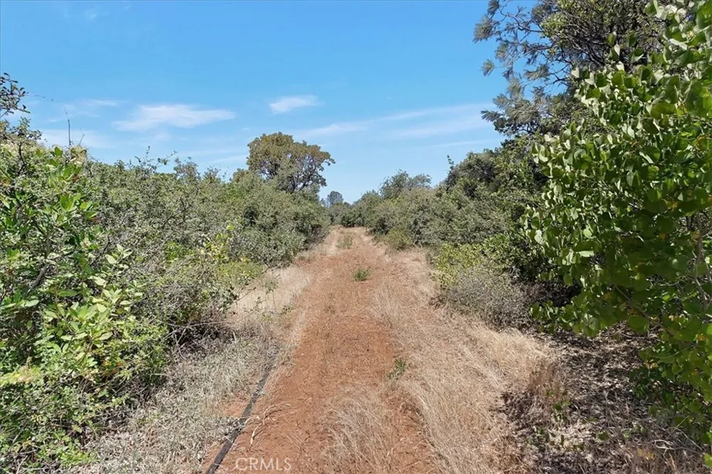 8972 Amoruso Lane Oregon House, CA 95962