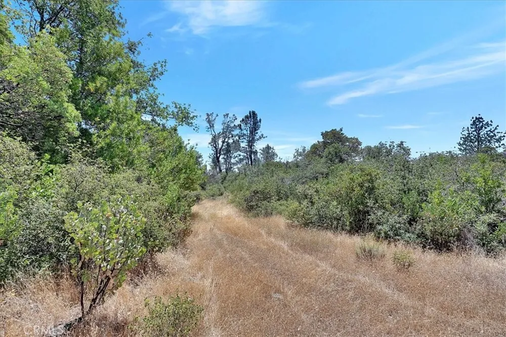 8972 Amoruso Lane Oregon House, CA 95962