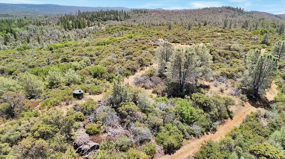 8972 Amoruso Lane Oregon House, CA 95962