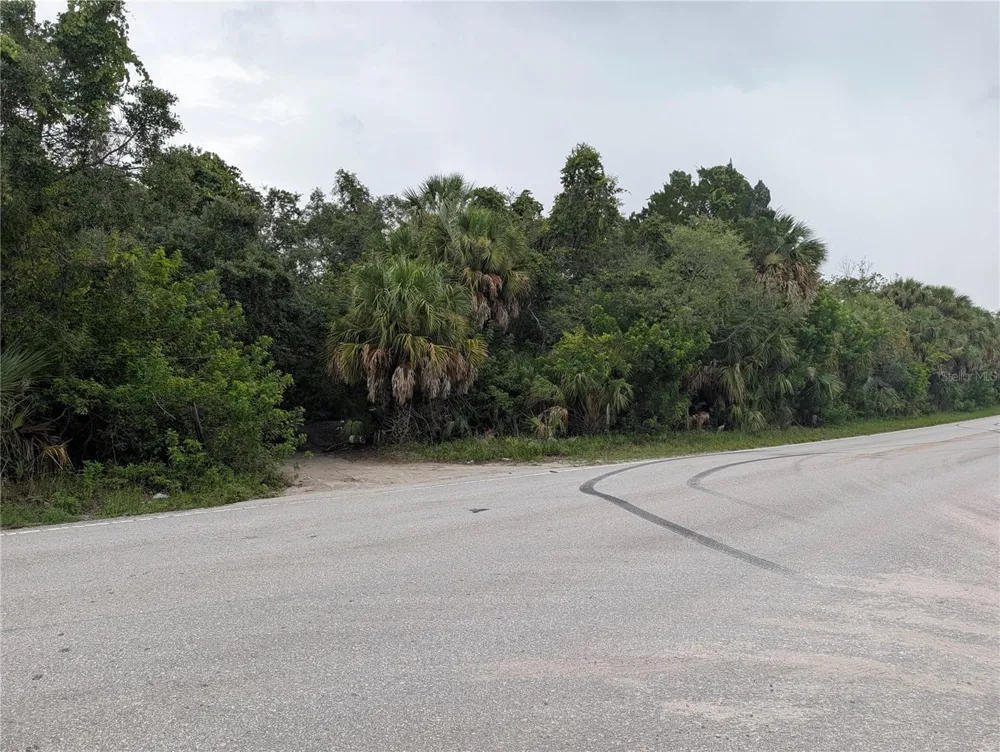 00 BOLTON AVENUE Hudson, FL 34667