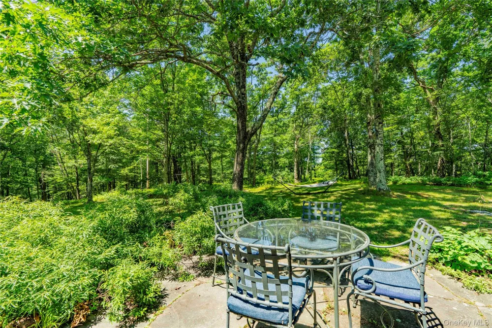 695 Wolf Hill Road Hillsdale, NY 12529