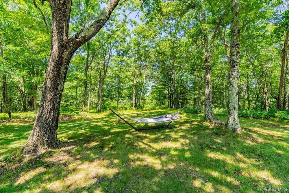 695 Wolf Hill Road Hillsdale, NY 12529