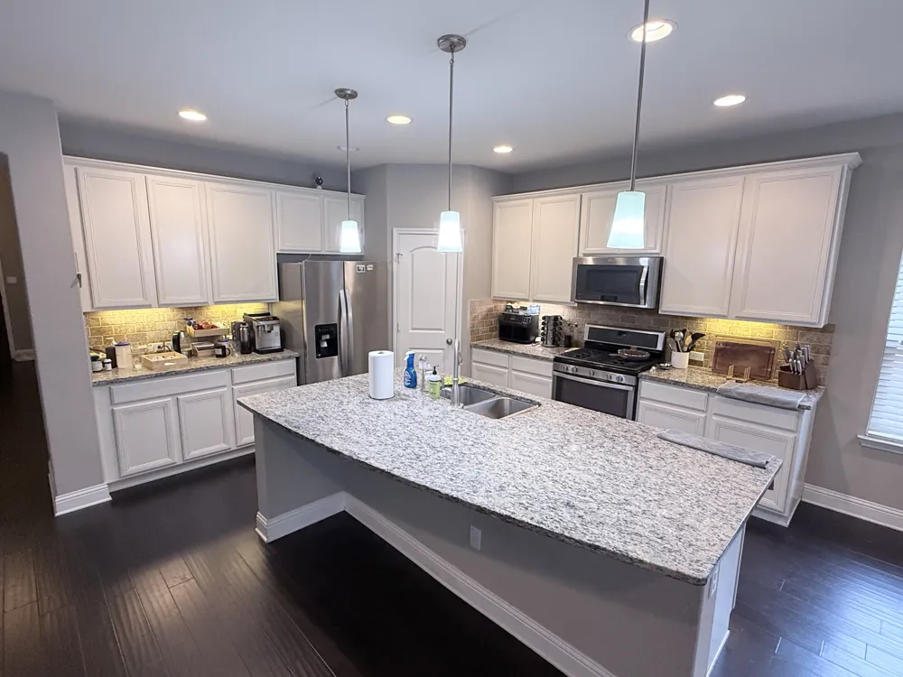 1749 CACTUS MOUND DRIVE Leander, TX 78641