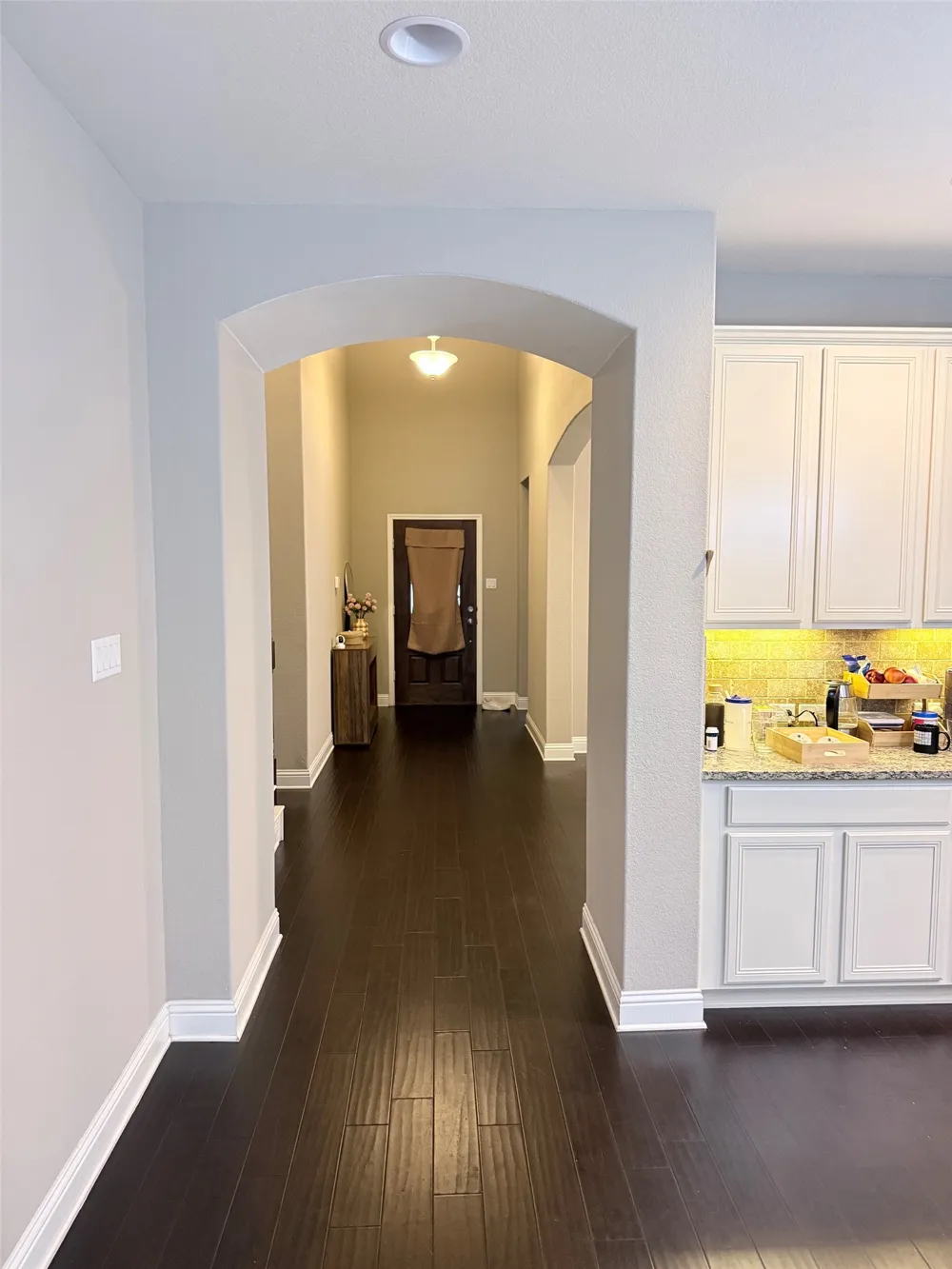 1749 CACTUS MOUND DRIVE Leander, TX 78641