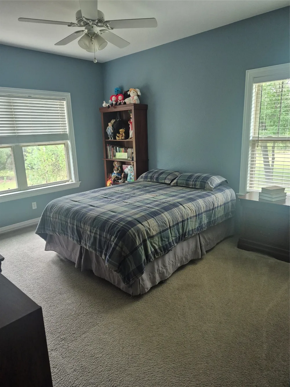 3851 County Road 156 Road Bluff Dale, TX 76433