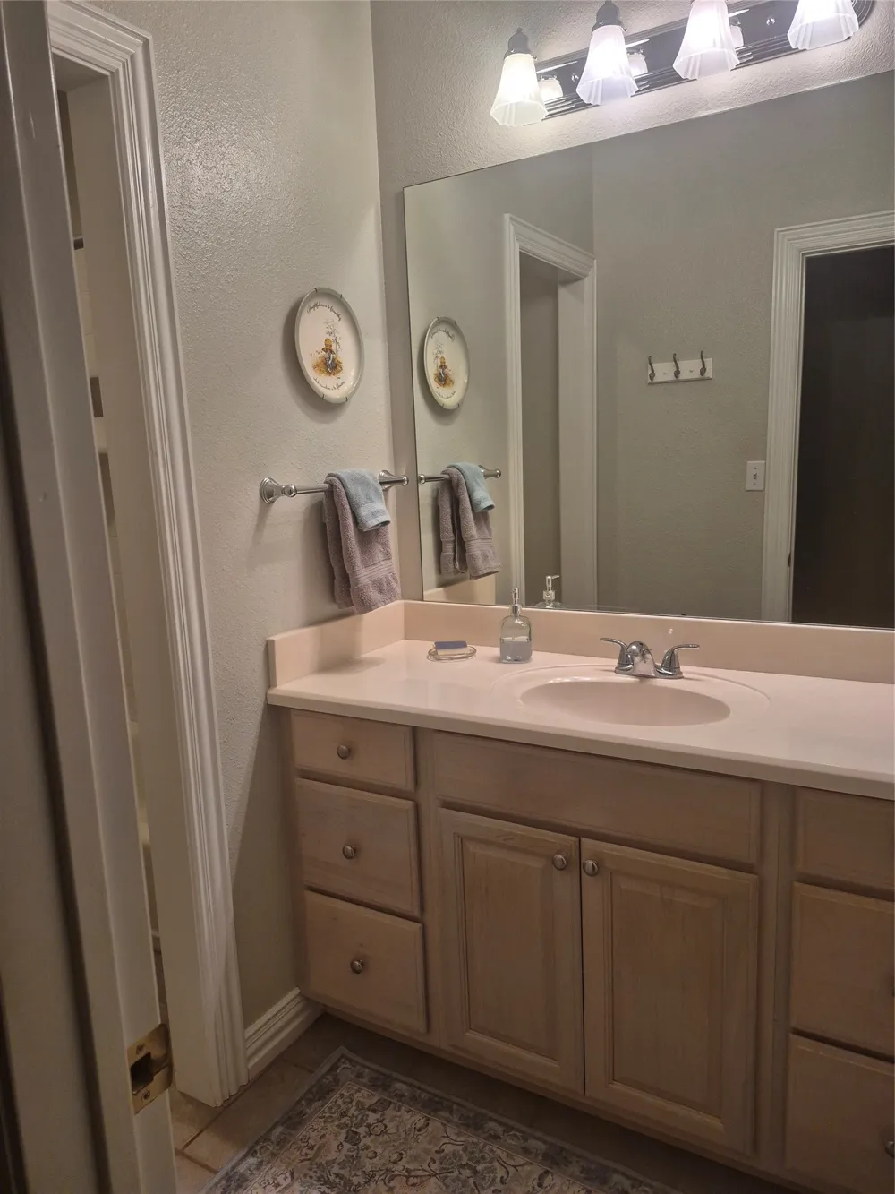 3851 County Road 156 Road Bluff Dale, TX 76433