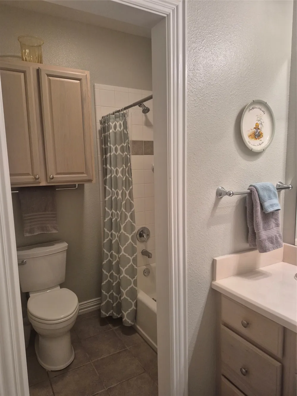 3851 County Road 156 Road Bluff Dale, TX 76433