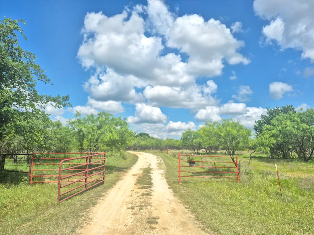 3851 County Road 156 Road Bluff Dale, TX 76433
