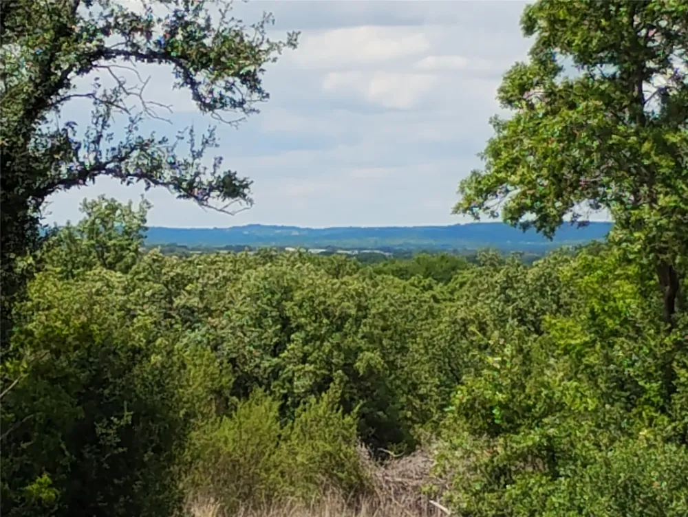 3851 County Road 156 Road Bluff Dale, TX 76433