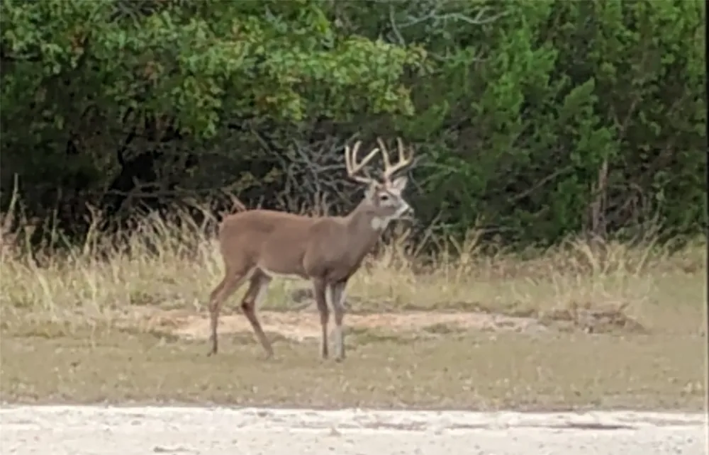 3851 County Road 156 Road Bluff Dale, TX 76433