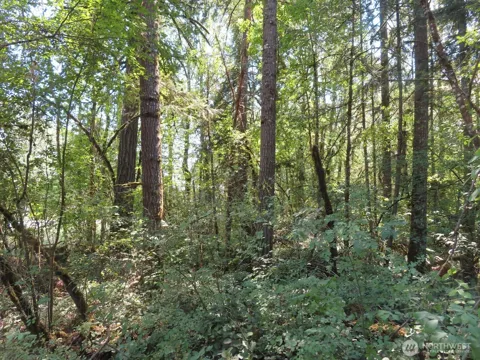 115 Campground Lane