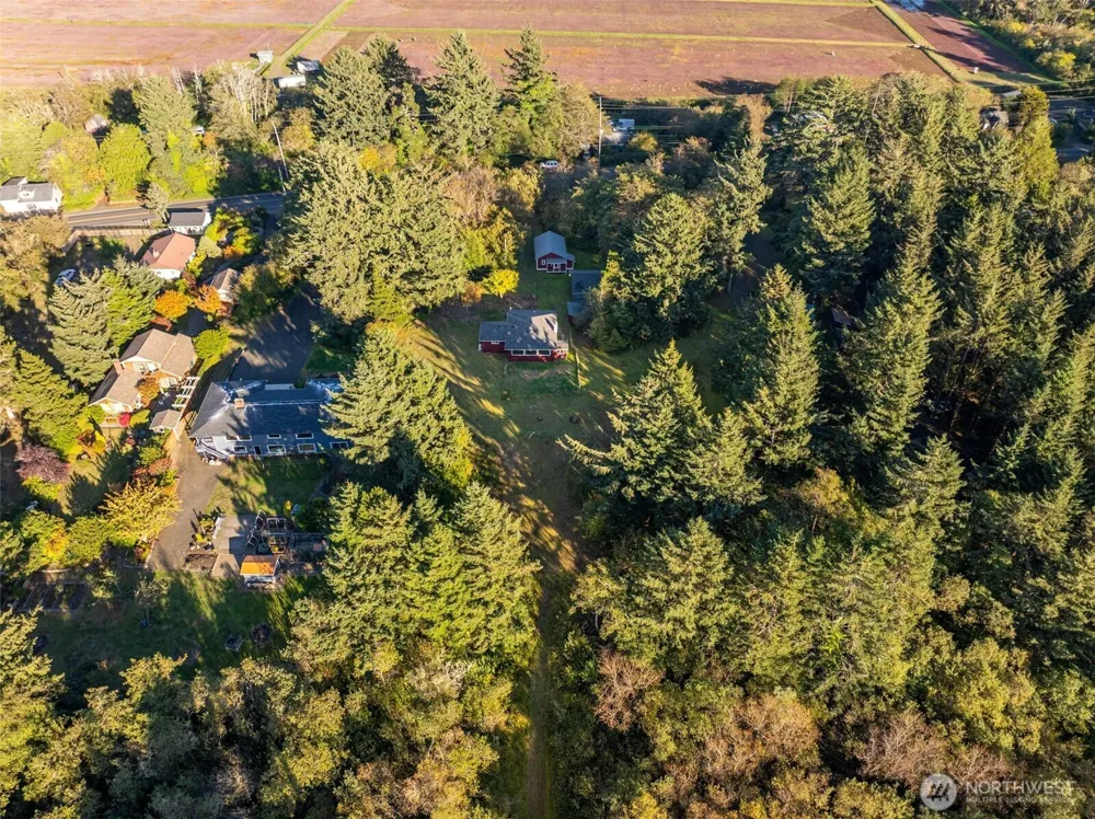 1847 SR 105 Grayland, WA 98547