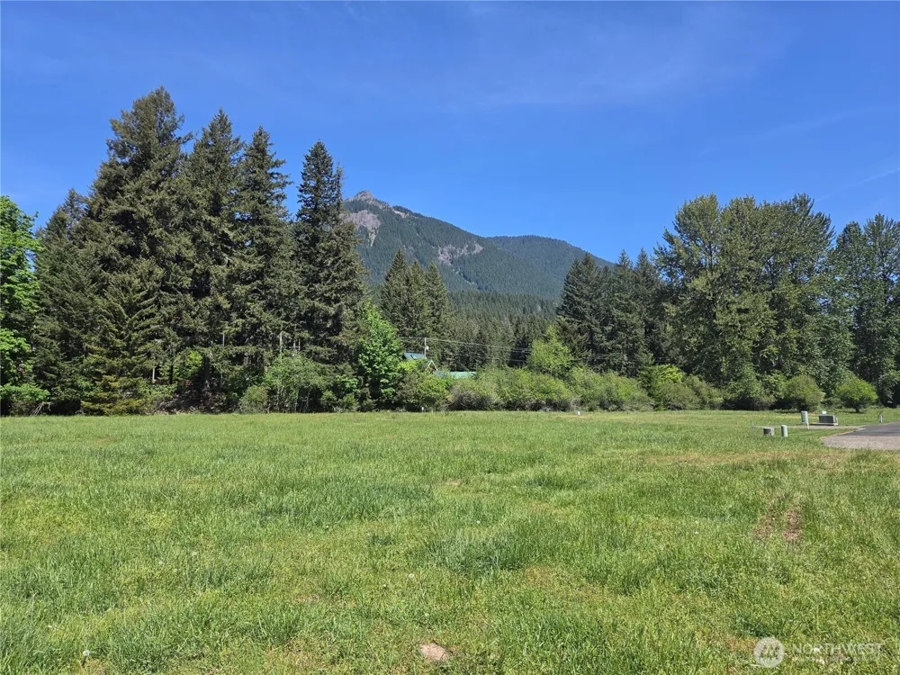 127 Campfire Lane Packwood, WA 98361
