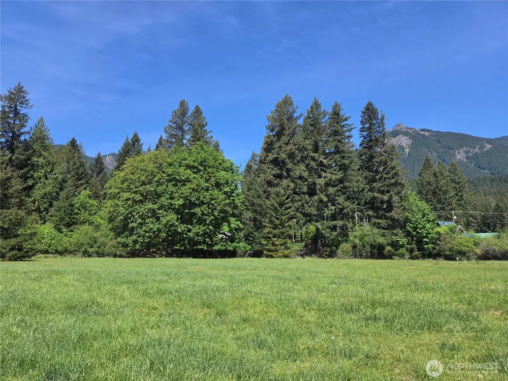 127 Campfire Lane Packwood, WA 98361