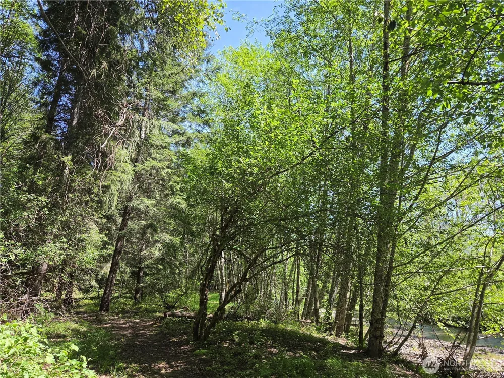 127 Campfire Lane Packwood, WA 98361