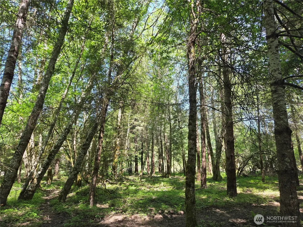 127 Campfire Lane Packwood, WA 98361