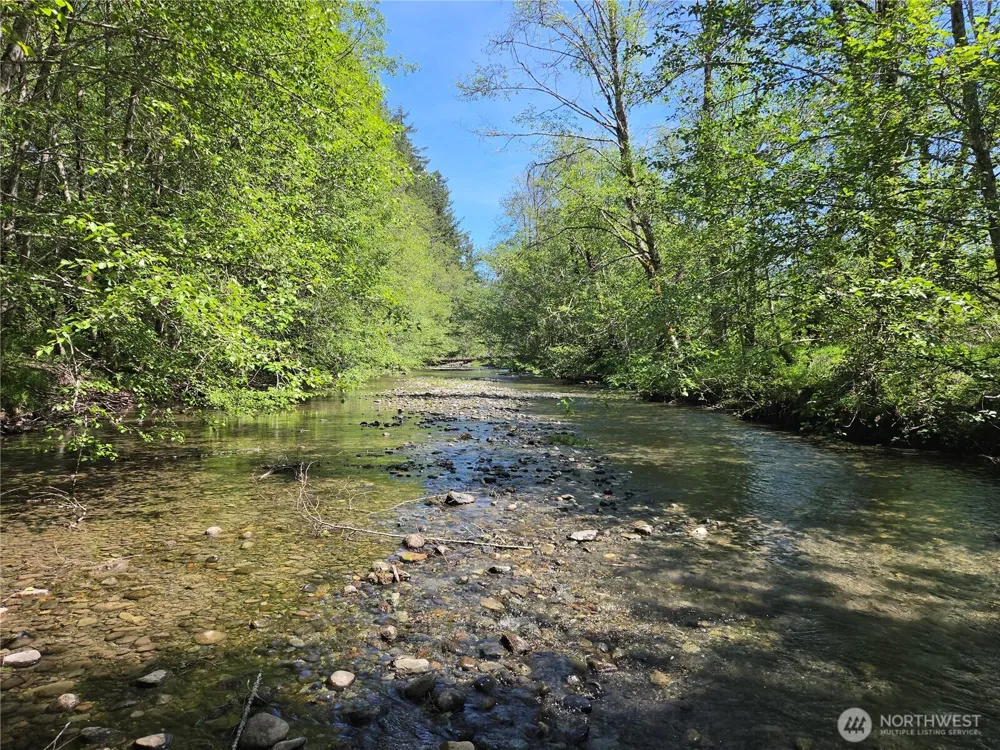 127 Campfire Lane Packwood, WA 98361