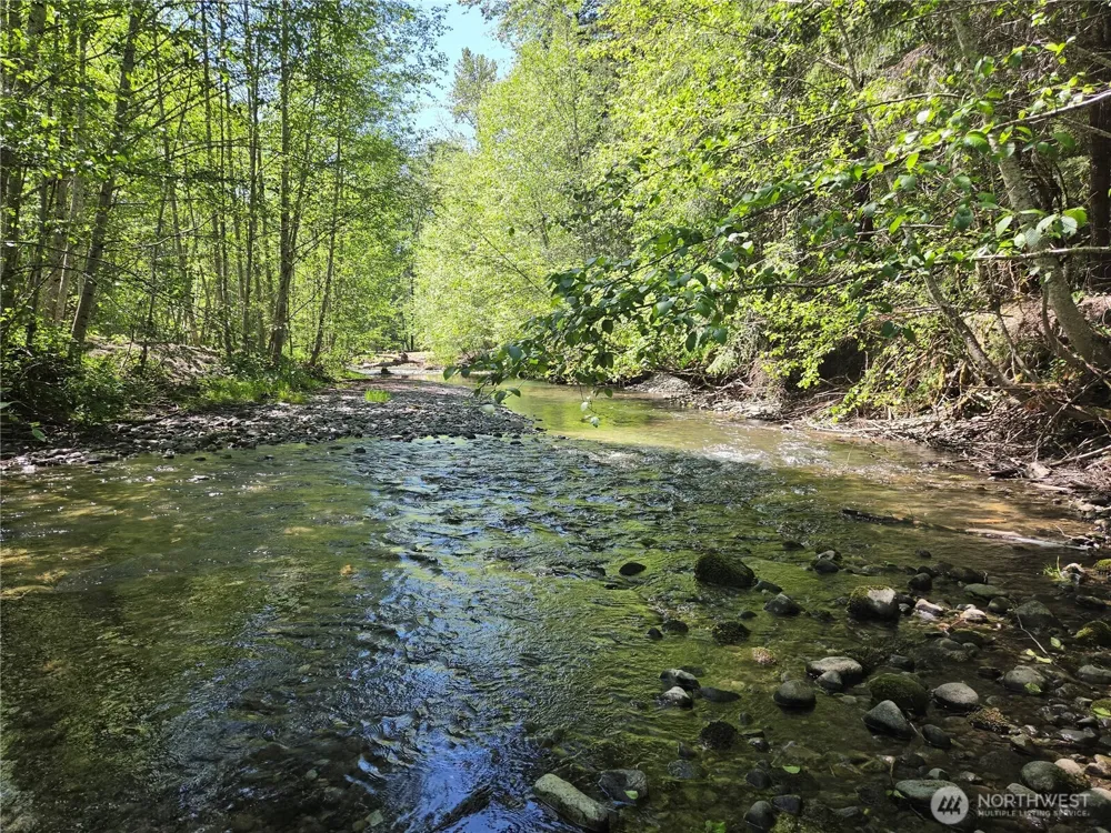 127 Campfire Lane Packwood, WA 98361