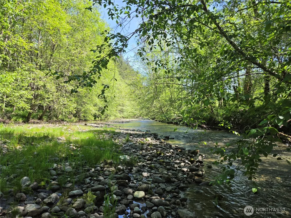 127 Campfire Lane Packwood, WA 98361
