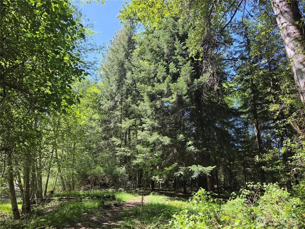 127 Campfire Lane Packwood, WA 98361
