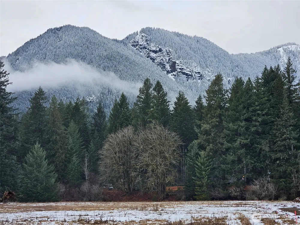127 Campfire Lane Packwood, WA 98361