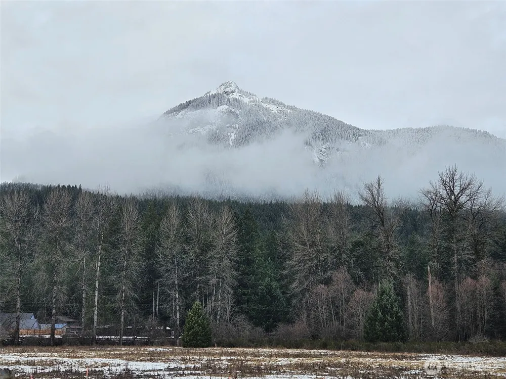 127 Campfire Lane Packwood, WA 98361