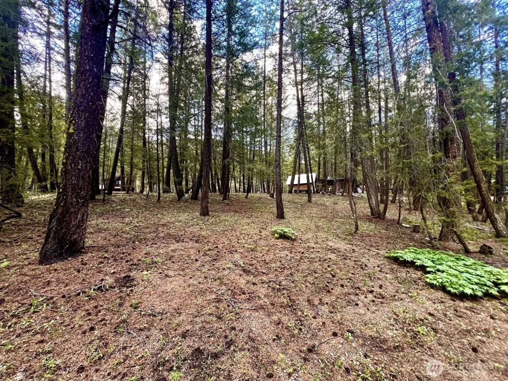 4 Susan Road Okanogan, WA 98833
