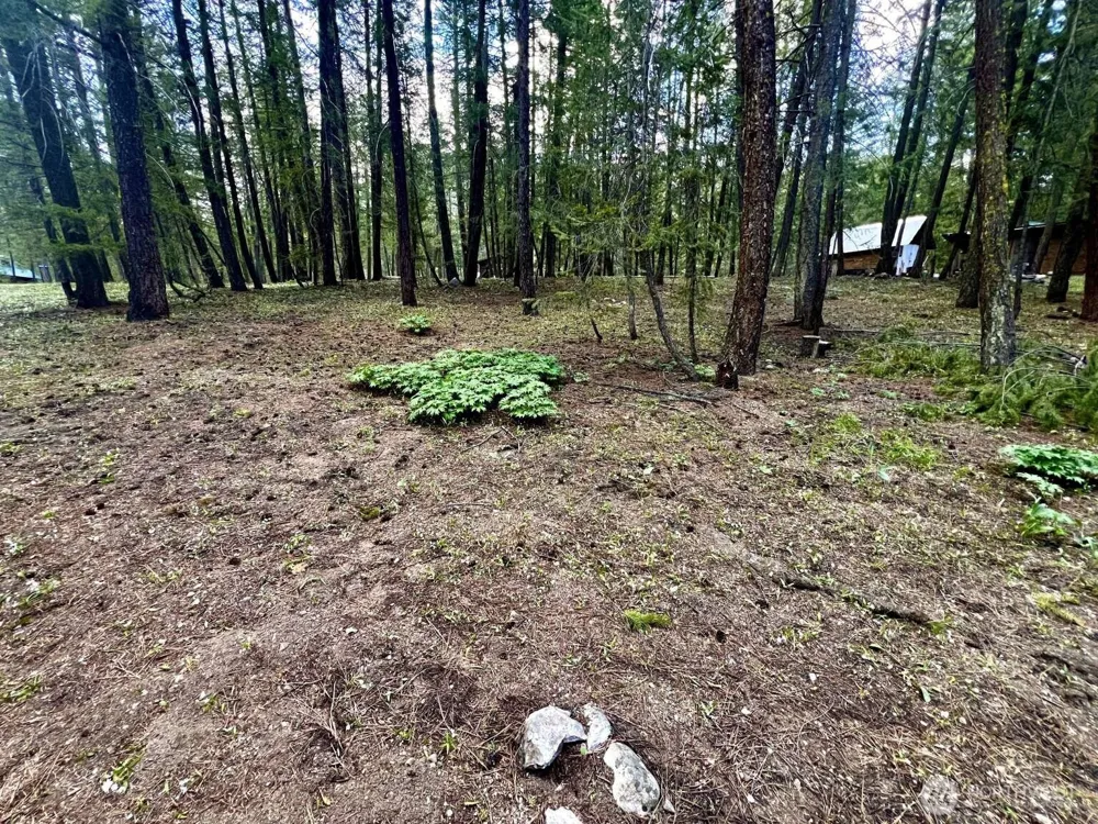 4 Susan Road Okanogan, WA 98833