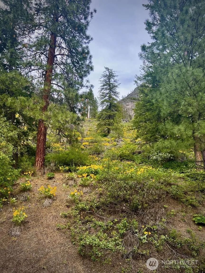 4 Susan Road Okanogan, WA 98833