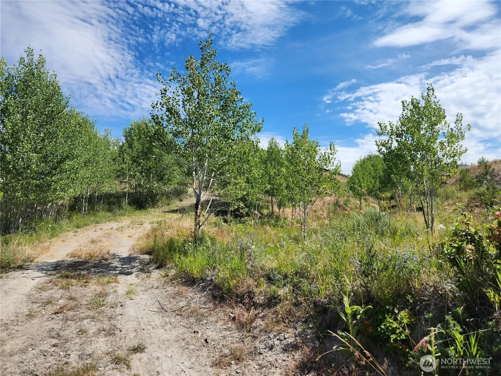 94 Allen Drive Oroville, WA 98859